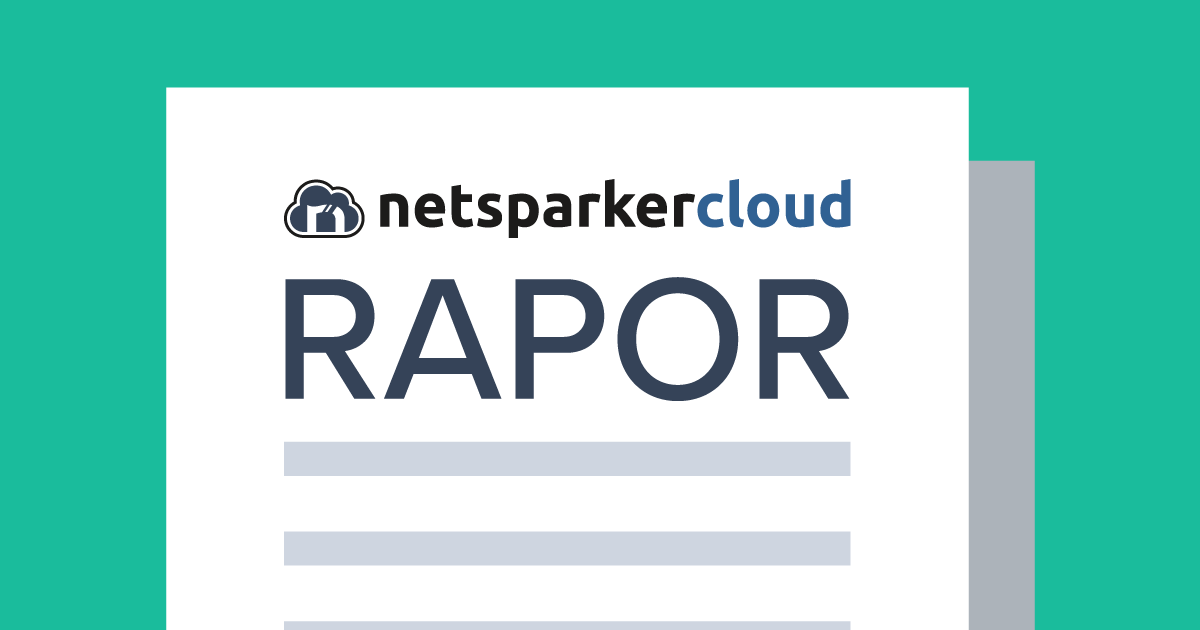 Netsparker Enterprise Yerleşik Raporları ve Raporlama Aracı